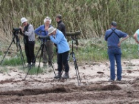 2016-05-10 16h18m17 - Allen - Jan van Kleef